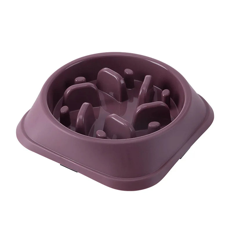 Gassol CalmFeeder: Plato Antiestrés y Antiasfixia